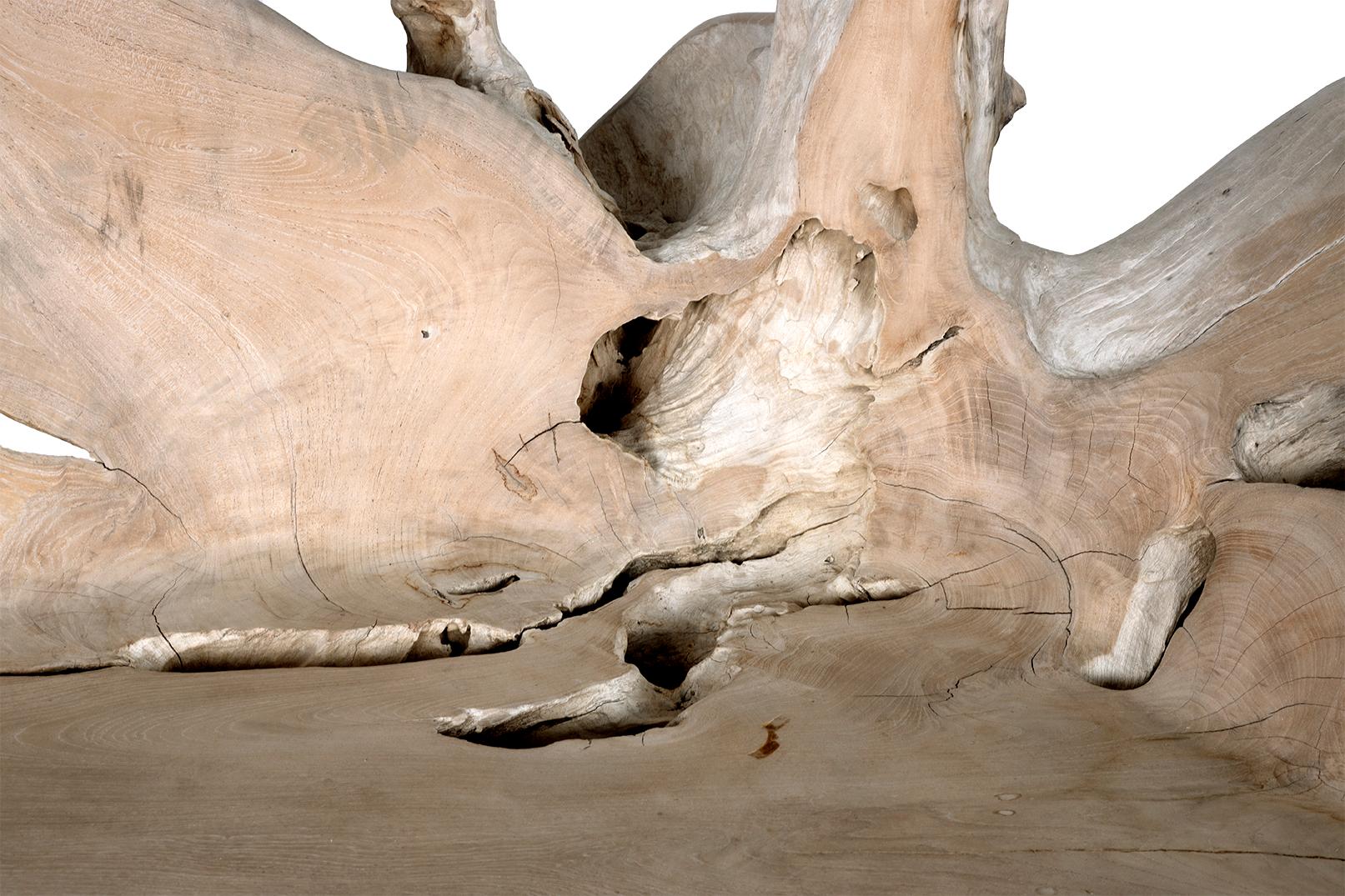 Banc d'extérieur en teck Monumental en vente 1