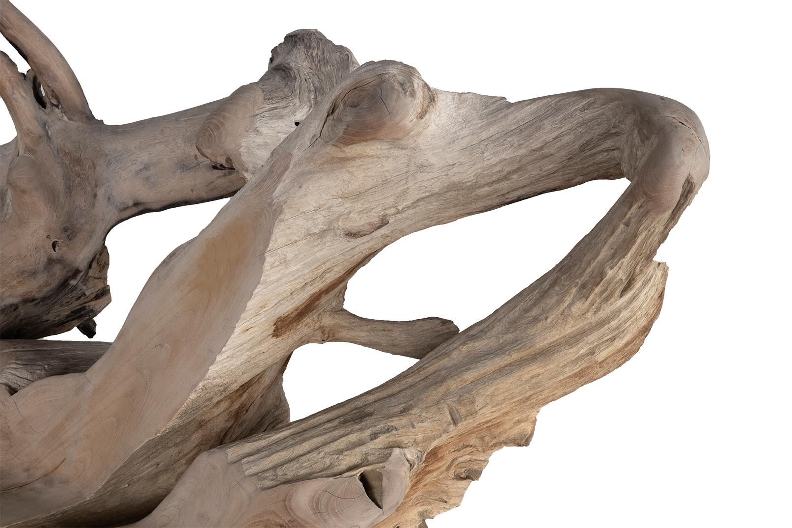 Banc d'extérieur en teck Monumental en vente 2