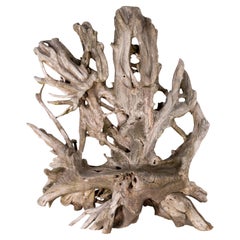 Monumental Teak Root Garden Bench
