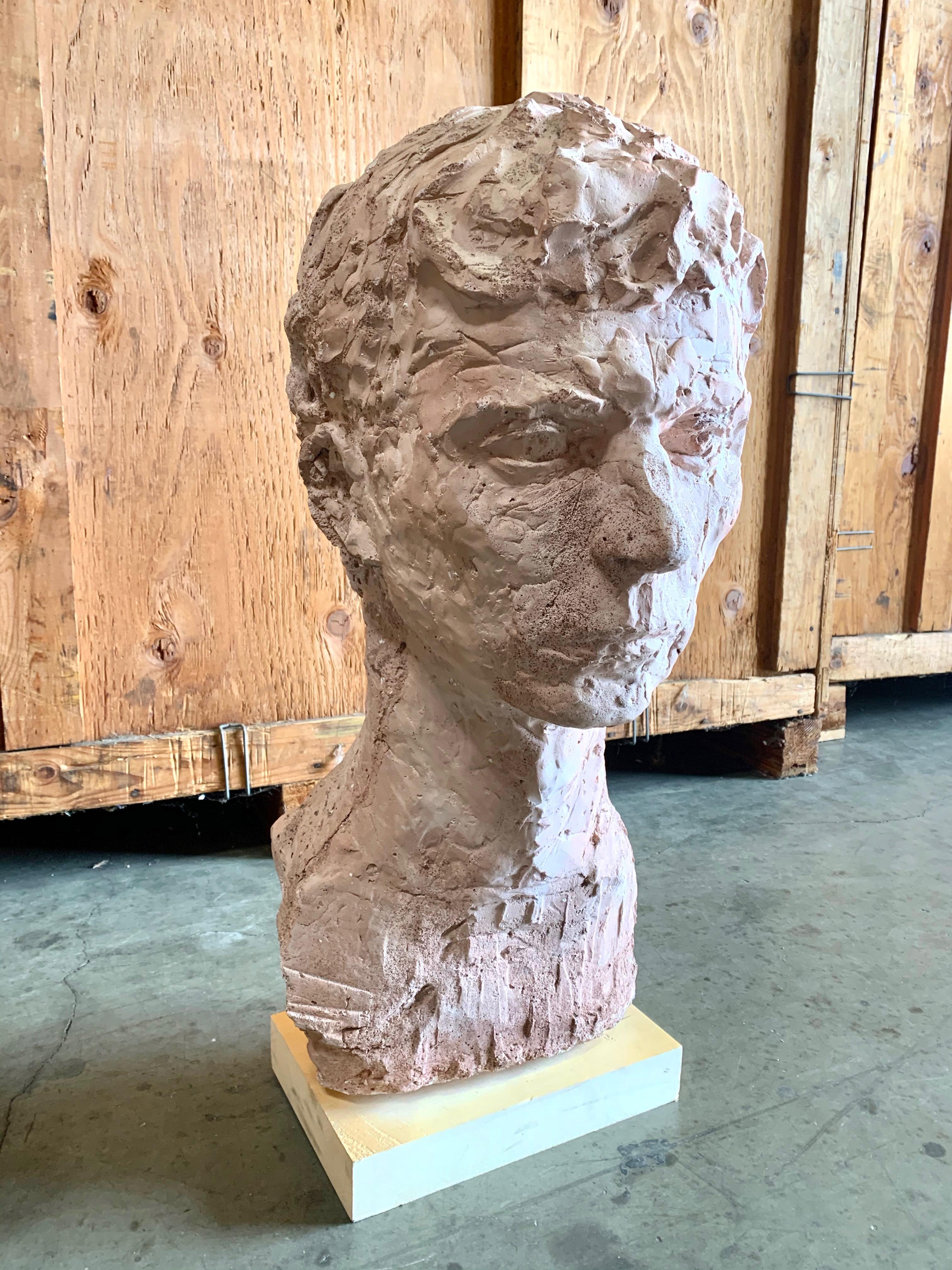 Unknown Monumental Terracotta Bust of a Man For Sale
