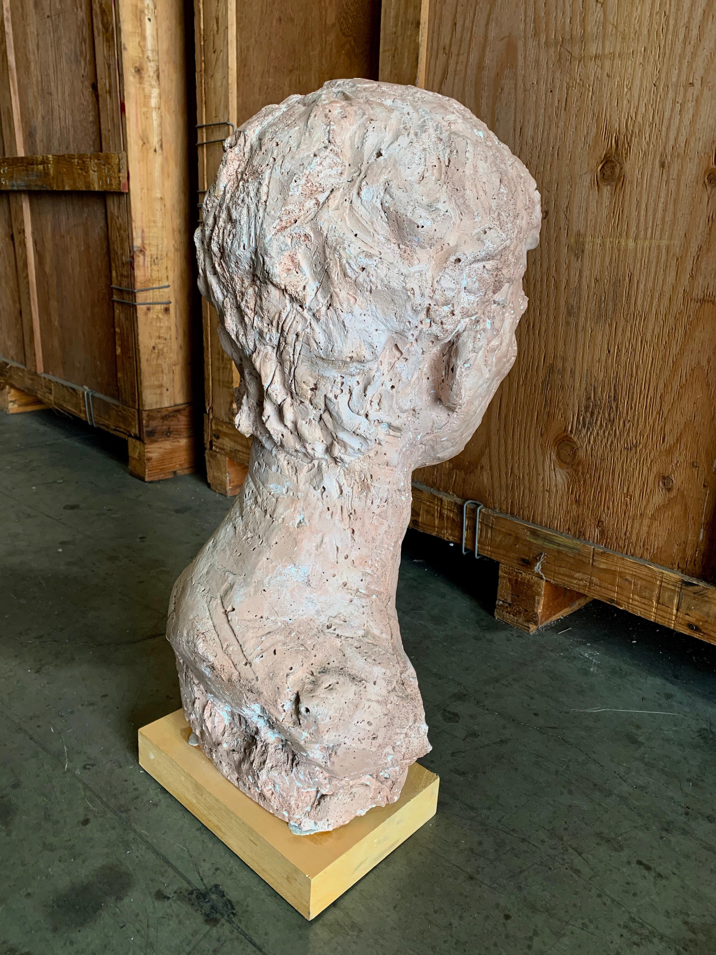 Monumental Terracotta Bust of a Man For Sale 1
