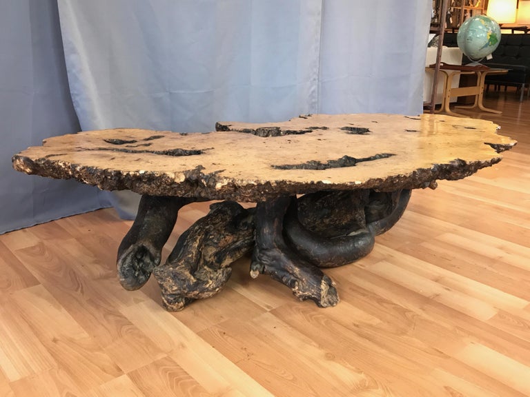 Monumental Birdseye Maple Burl Slab Live Edge Coffee Table, 1960s For