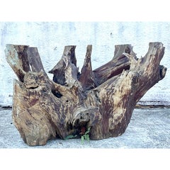 Monumental Vintage Florida Cypress Root Pedestal