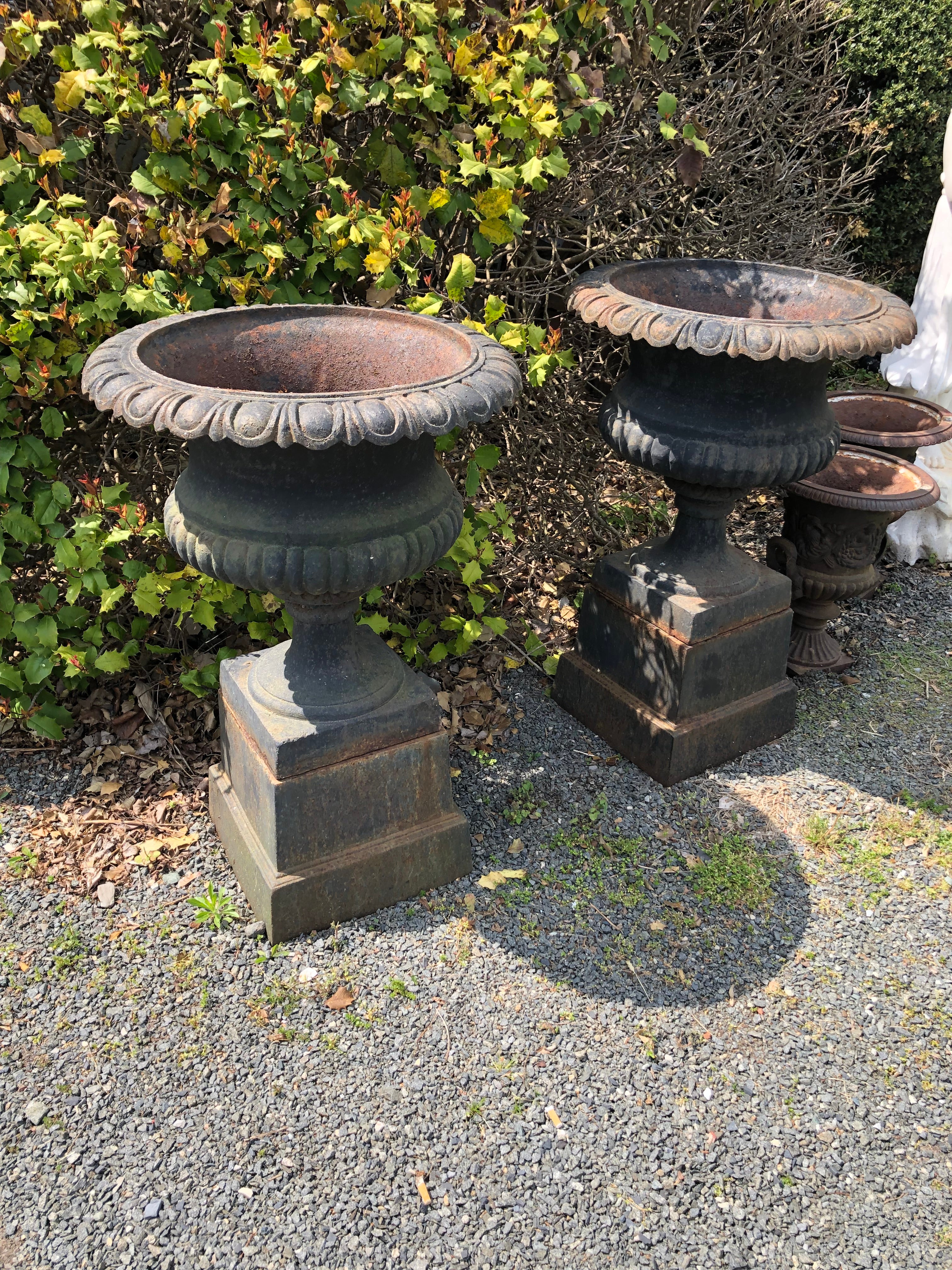 Monumental very large vintage pair of black cast iron urns planters from England that rest on 14