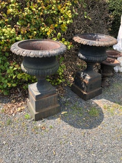 Monumental Vintage Pair of Black Cast Iron English Planters Urns on Plinths