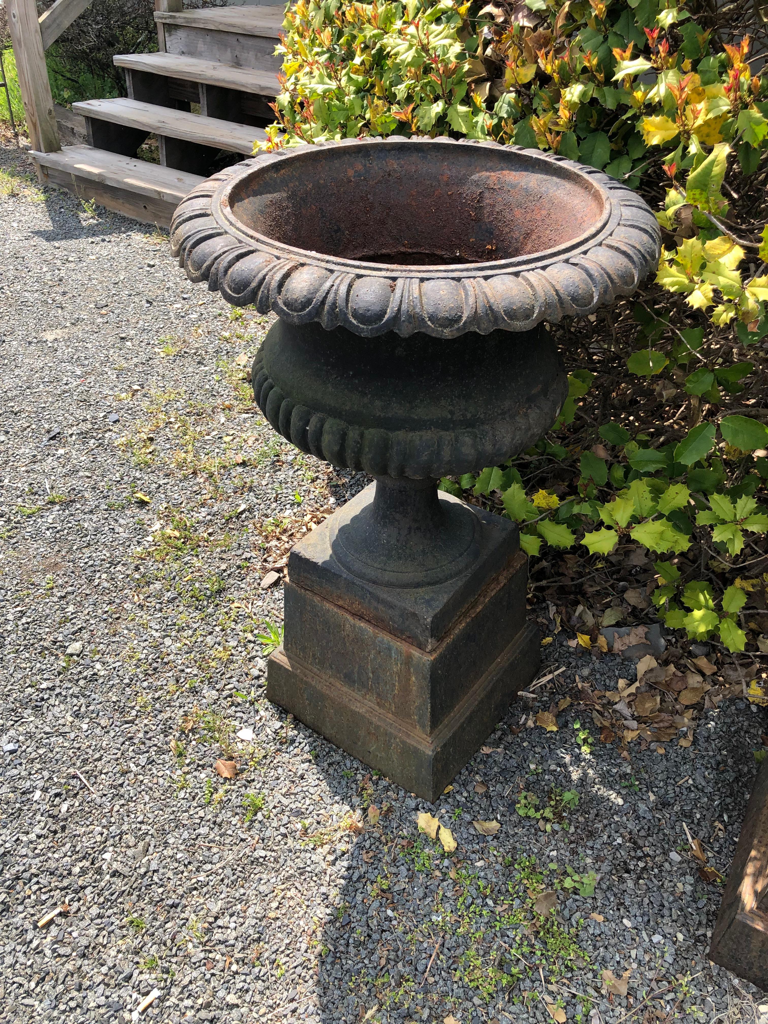 Monumental Vintage Pair of Black Cast Iron English Planters Urns on Plinths In Good Condition For Sale In Hopewell, NJ