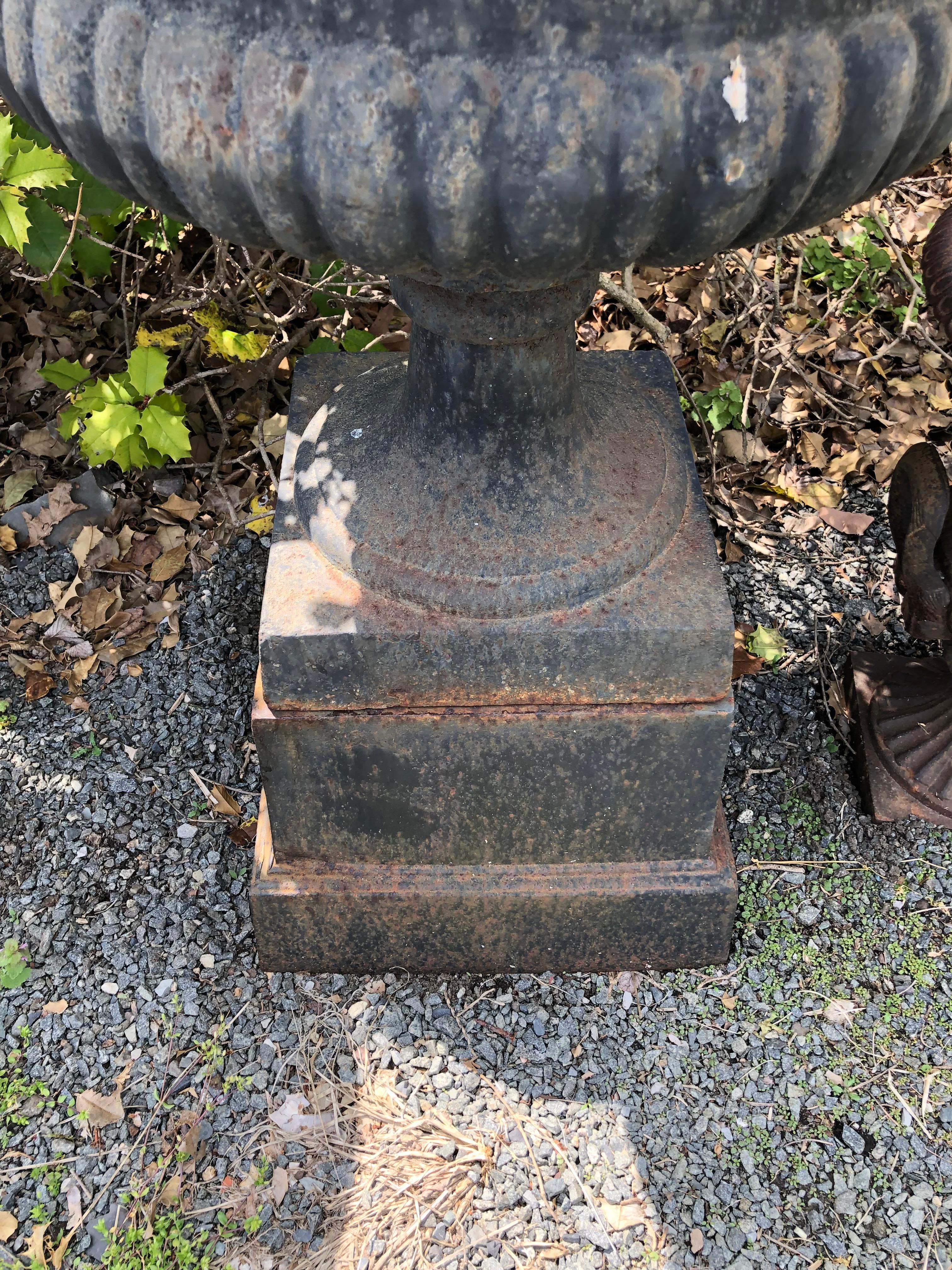 Monumental Vintage Pair of Black Cast Iron English Planters Urns on Plinths For Sale 3