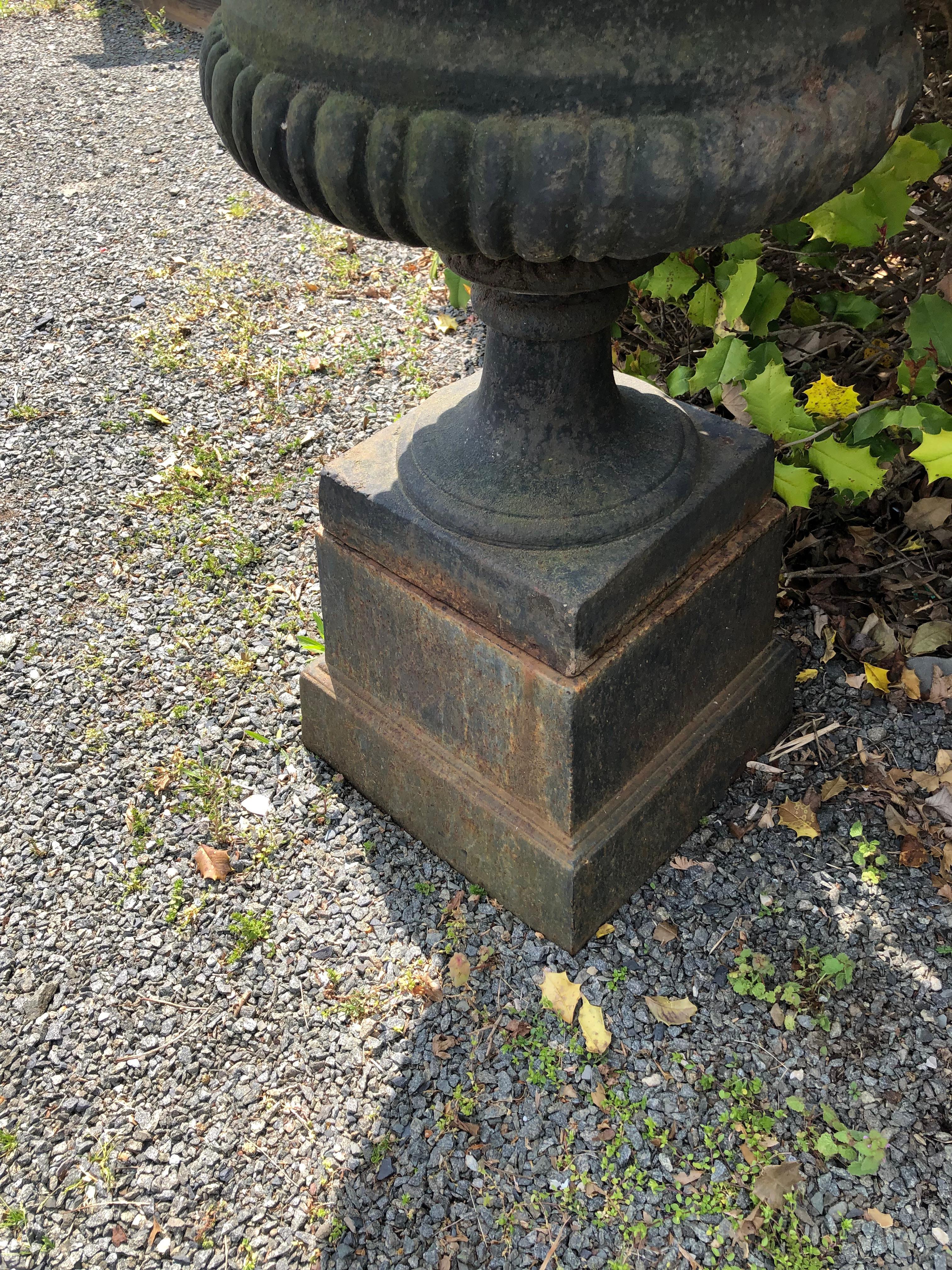 Monumental Vintage Pair of Black Cast Iron English Planters Urns on Plinths For Sale 4