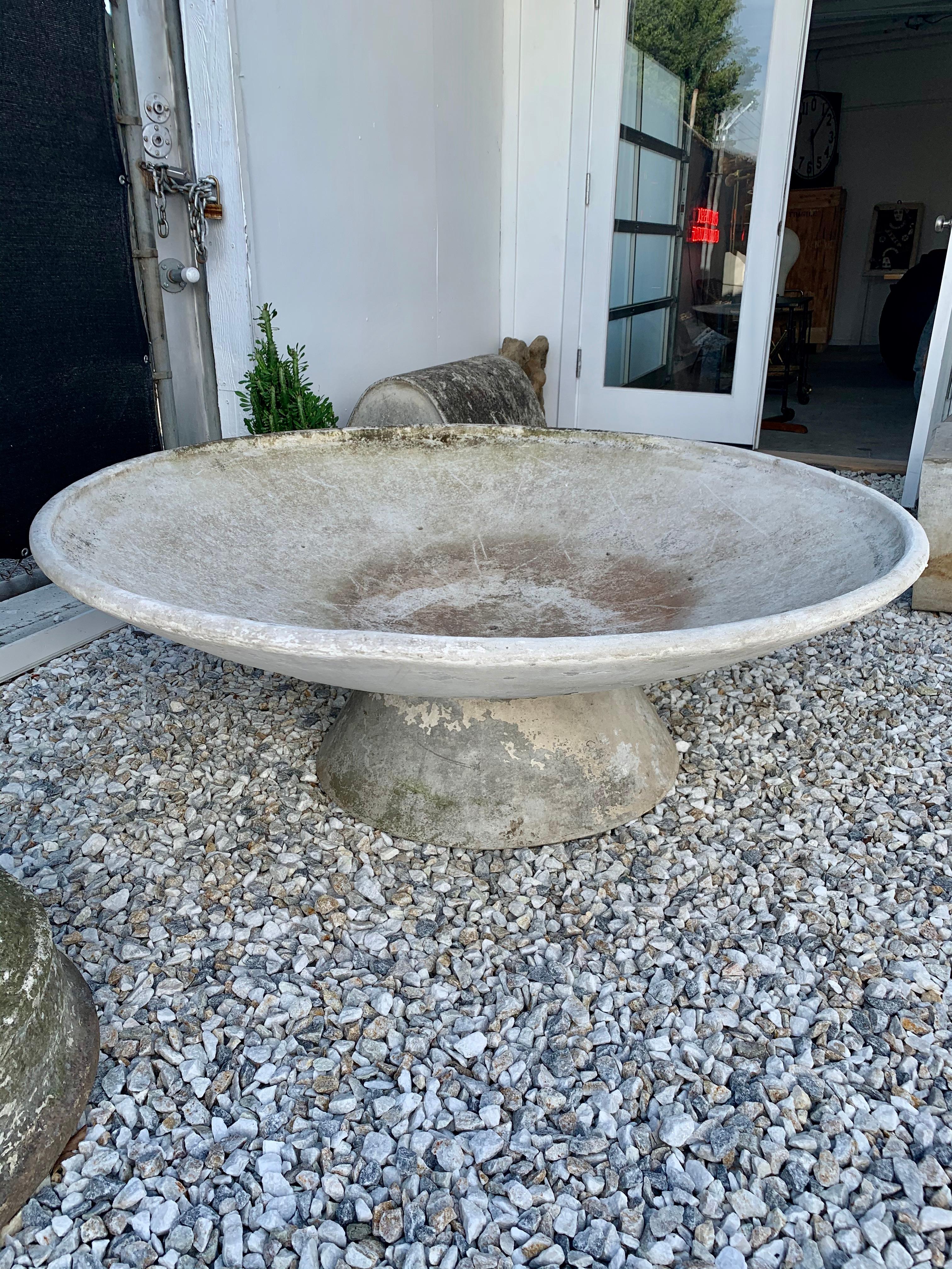 large concrete bowl planter
