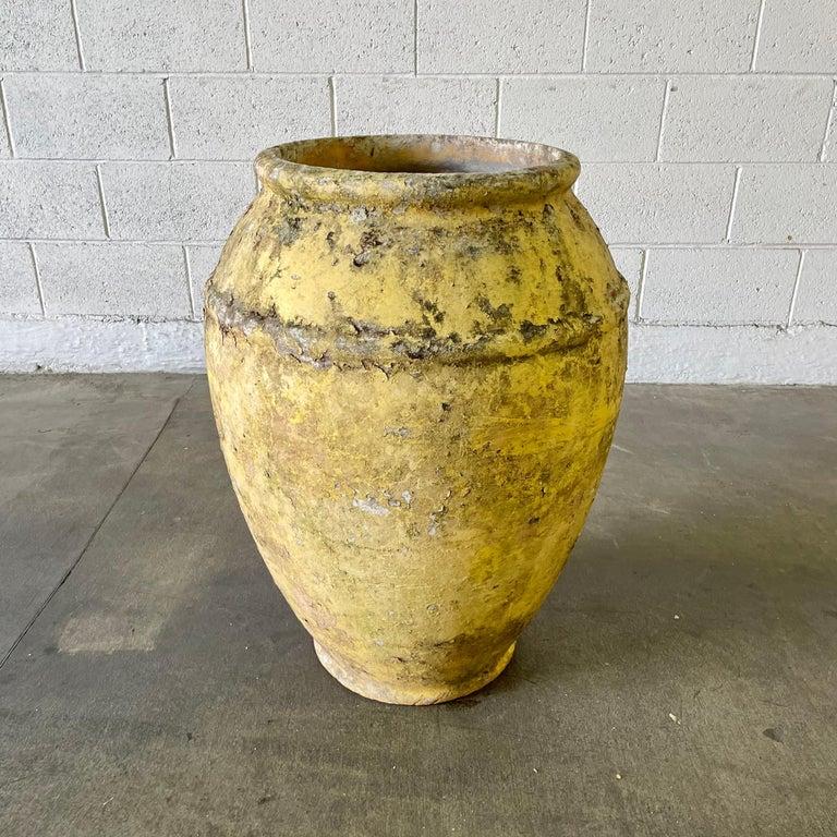 Unusual concrete urn by Willy Guhl. Rare model and size. Excellent yellow patina. Urn has a delicate cement ridge around the mouth as well as around the widest part of the jar giving it depth and delicate lines. The body of the jar tapers down to