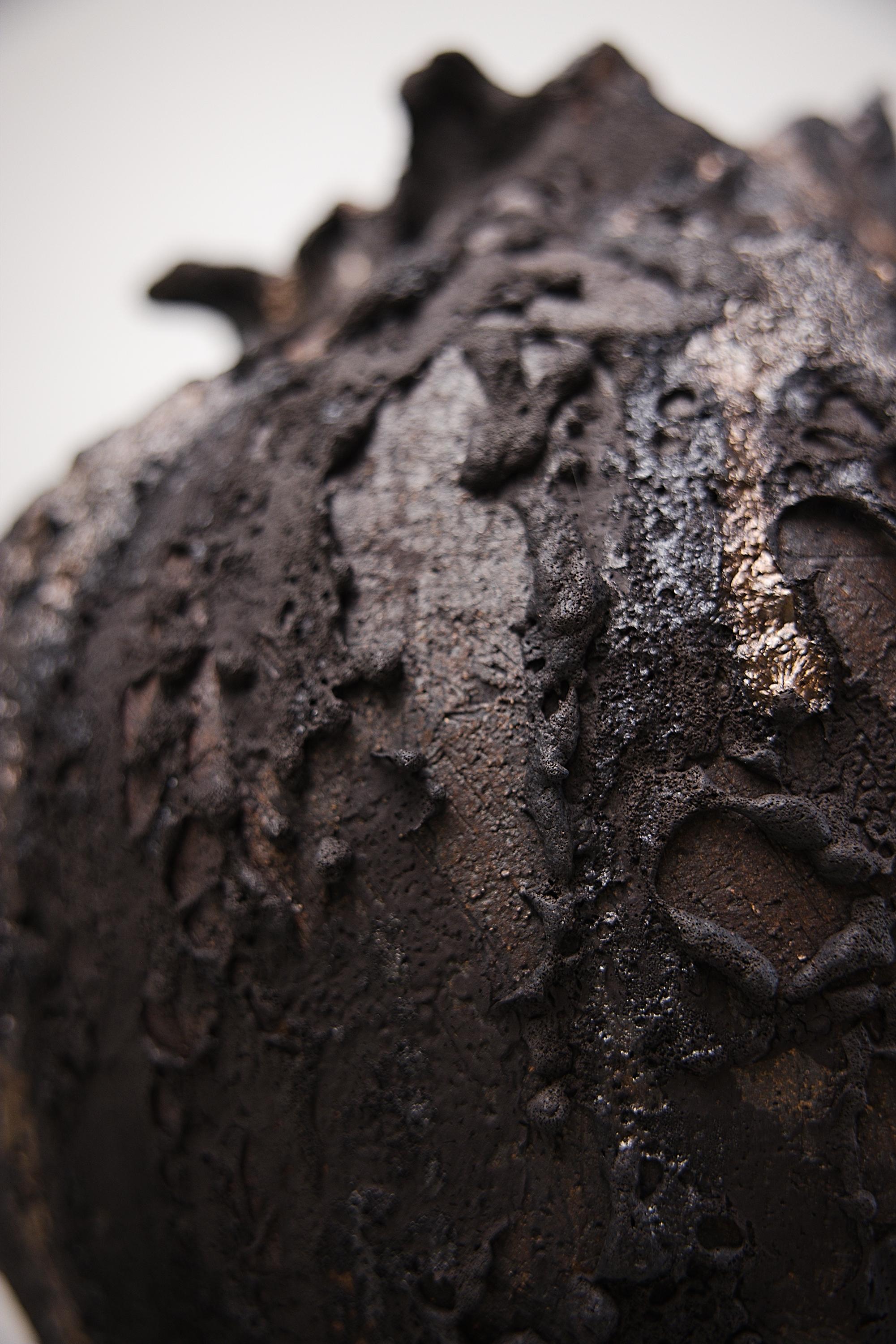 Wir stellen den Moody Lava Moon Collector vor, der exklusiv in den The Shine Studios erhältlich ist. Diese große, von Hand gewickelte Vase weist eine matte Oberfläche mit Schichten aus schwerem Ton und Schlicker sowie eine zusätzliche