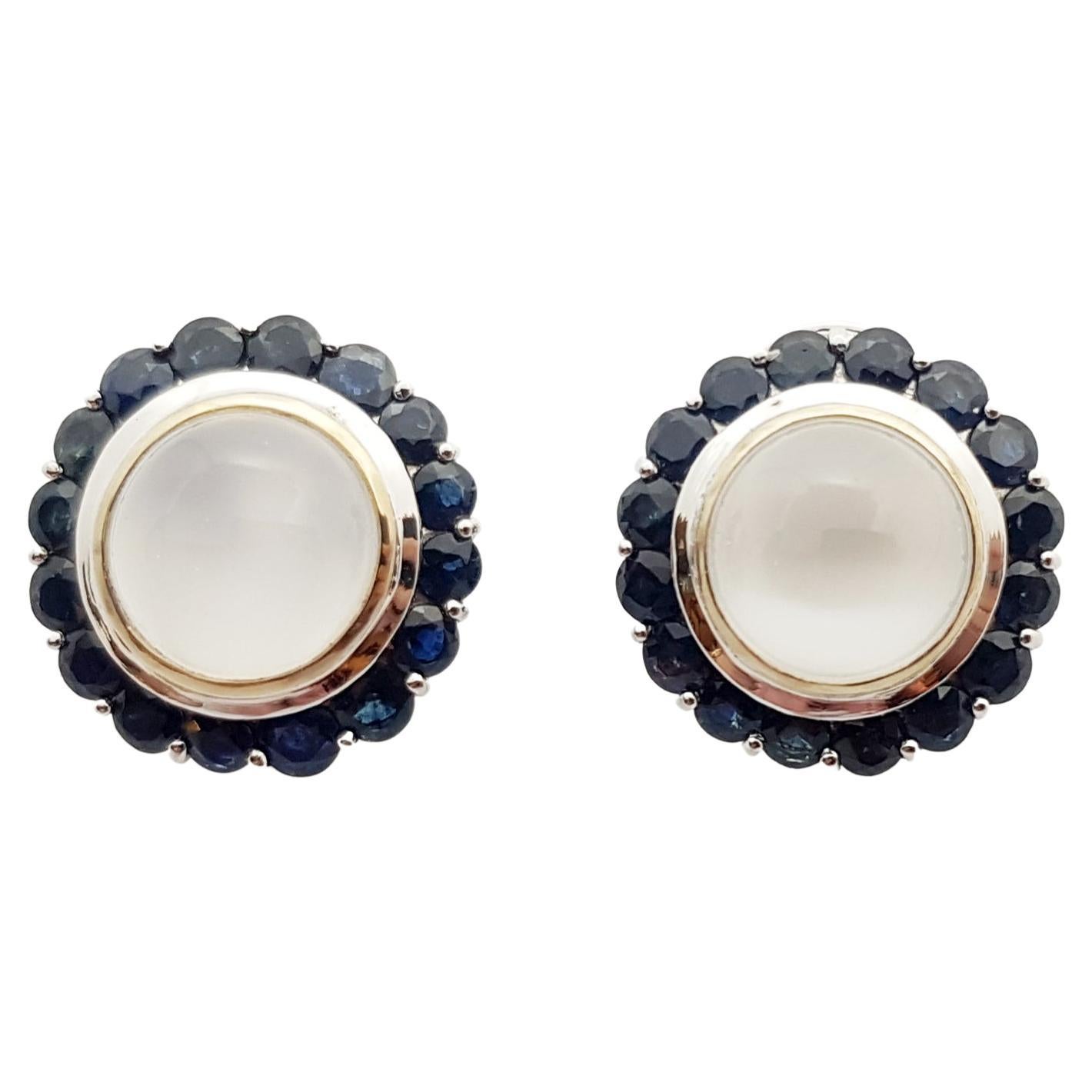 Moonstone with Blue Sapphire Earrings Set in 14 Karat White Gold Settings For Sale