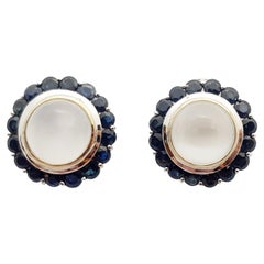 Moonstone with Blue Sapphire Earrings Set in 14 Karat White Gold Settings