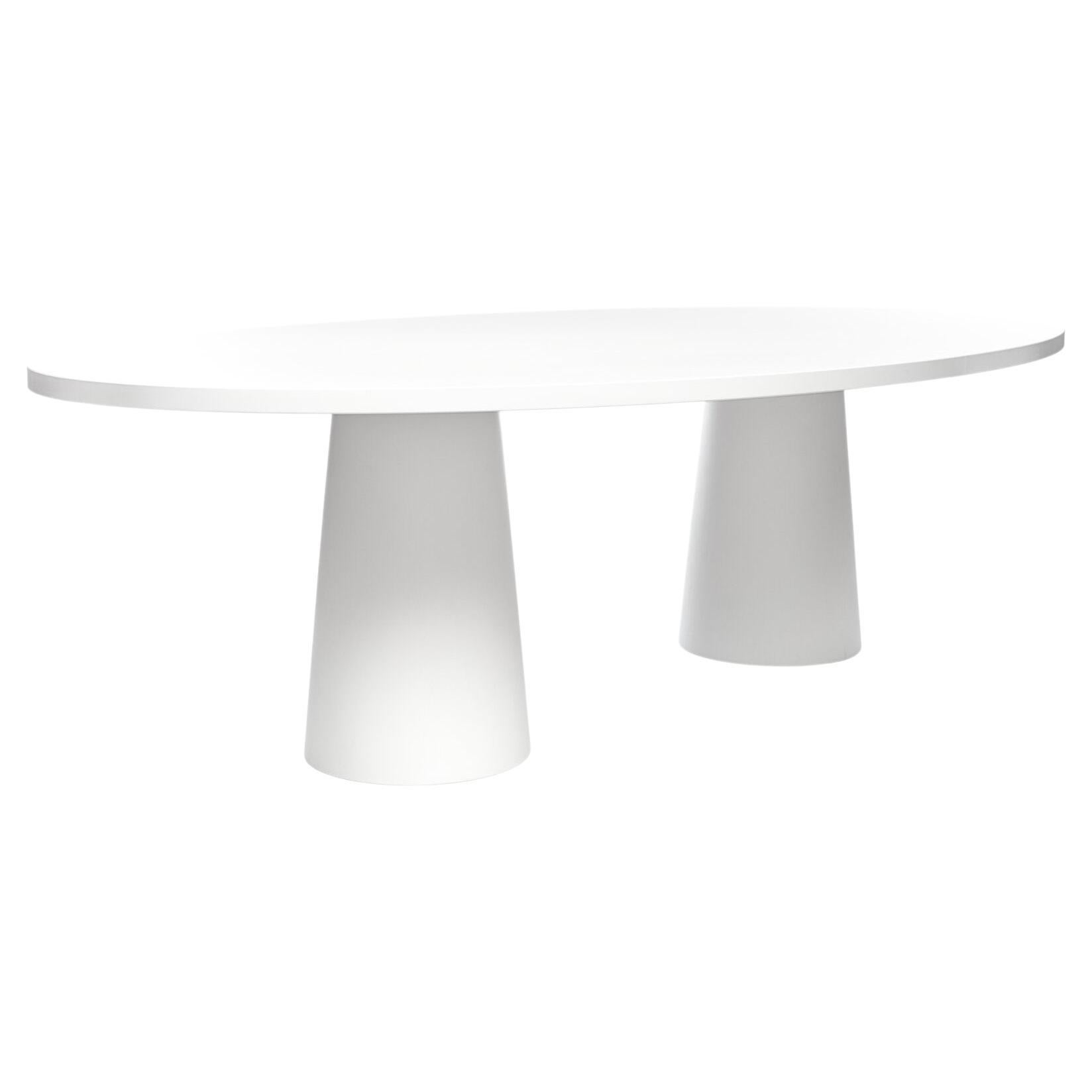 Récipient Moooi 7143 Grande table de salle à manger ovale avec plateau en chêne blanc