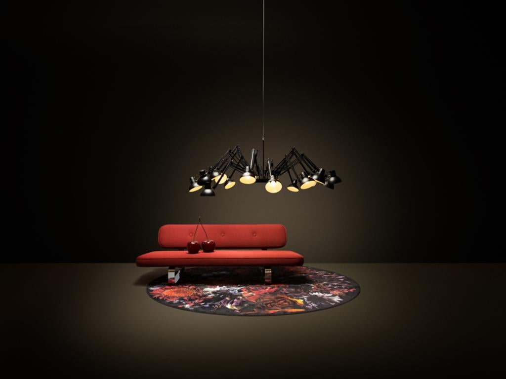 Dutch Moooi Dear Ingo Suspension Lamp in Black Powder-Coated Steel, 10m Cable For Sale