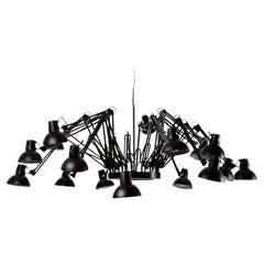 Moooi Dear Ingo Suspension Lamp in Black Powder-Coated Steel, 10m Cable