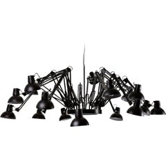 Moooi Dear Ingo Lampada a sospensione in acciaio verniciato a polvere nero di Ron Gilad