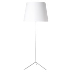 Moooi Double Shade Laminate Metal Shade Floor Lamp in White Powder Coated Steel