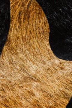 Moooi Extinct Animals Bearded Leopard 1 Rug in Wool