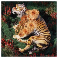 Moooi Extinct Animals Collection Golden Tiger by Ada Sokół