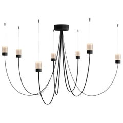 Lustre Moooi Gravity 7 en acier revêtu de poudre avec verre de Paul Cocksedge
