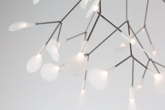 Moooi Heracleum Endless Suspension Lamp in Copper with Polycarbonate Lenses, 10m