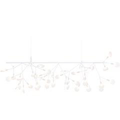 Moooi Heracleum Endless Suspension Lamp in White with Polycarbonate Lenses