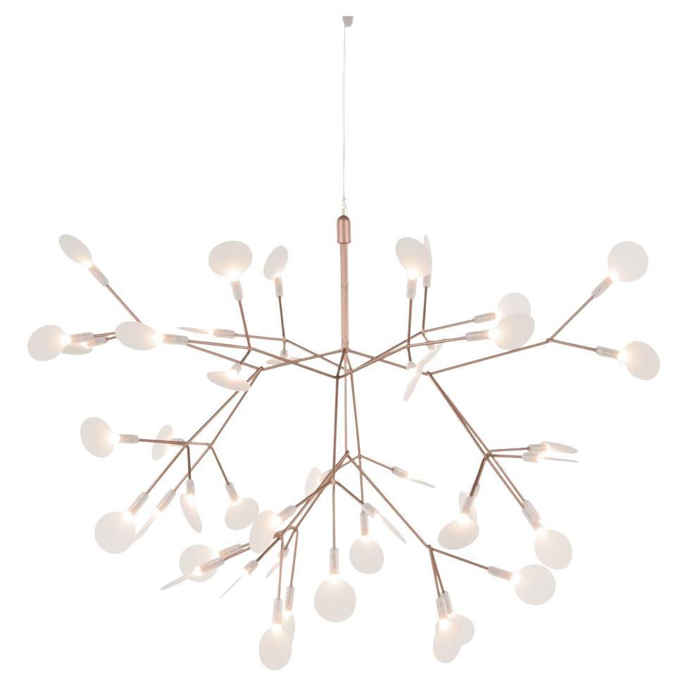 Moooi Heracleum II 72D Suspension Lamp in Copper with Polycarbonate Lenses