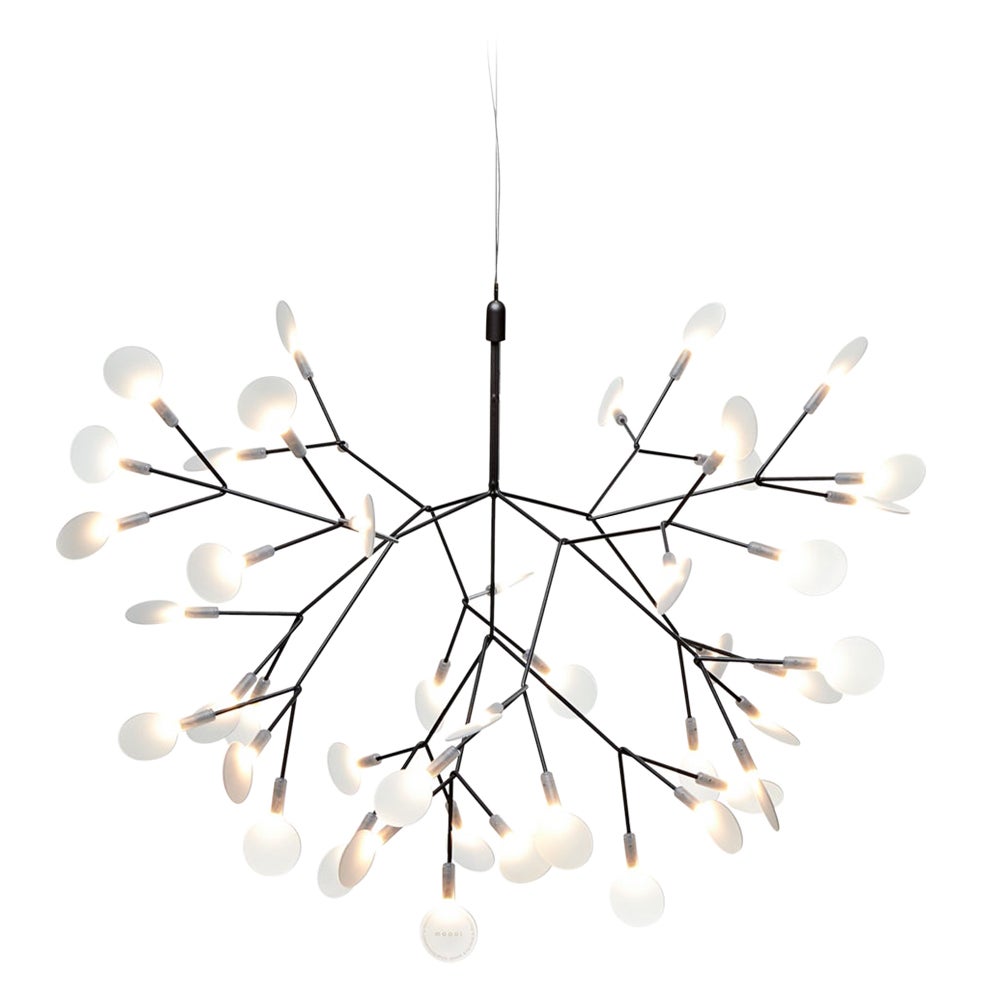Moooi Heracleum II 72D Suspension Lamp in Nickel with Polycarbonate Lenses
