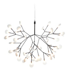 Moooi Heracleum II 72D Suspension Lamp in Nickel with Polycarbonate Lenses
