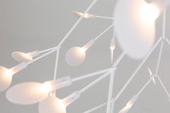 Lampe à suspension Moooi Heracleum II 98D en cuivre avec éclairages en polycarbonate