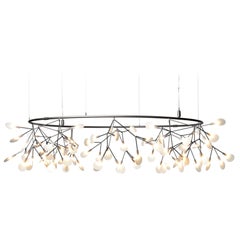 Moooi Heracleum The Big O Small Suspension Lamp in Nickel by Bertjan Pot