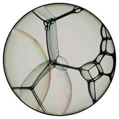 Alfombra grande Moooi Bubble Natural Zoom de lana con dobladillo ciego by Sjoerd Vroonland