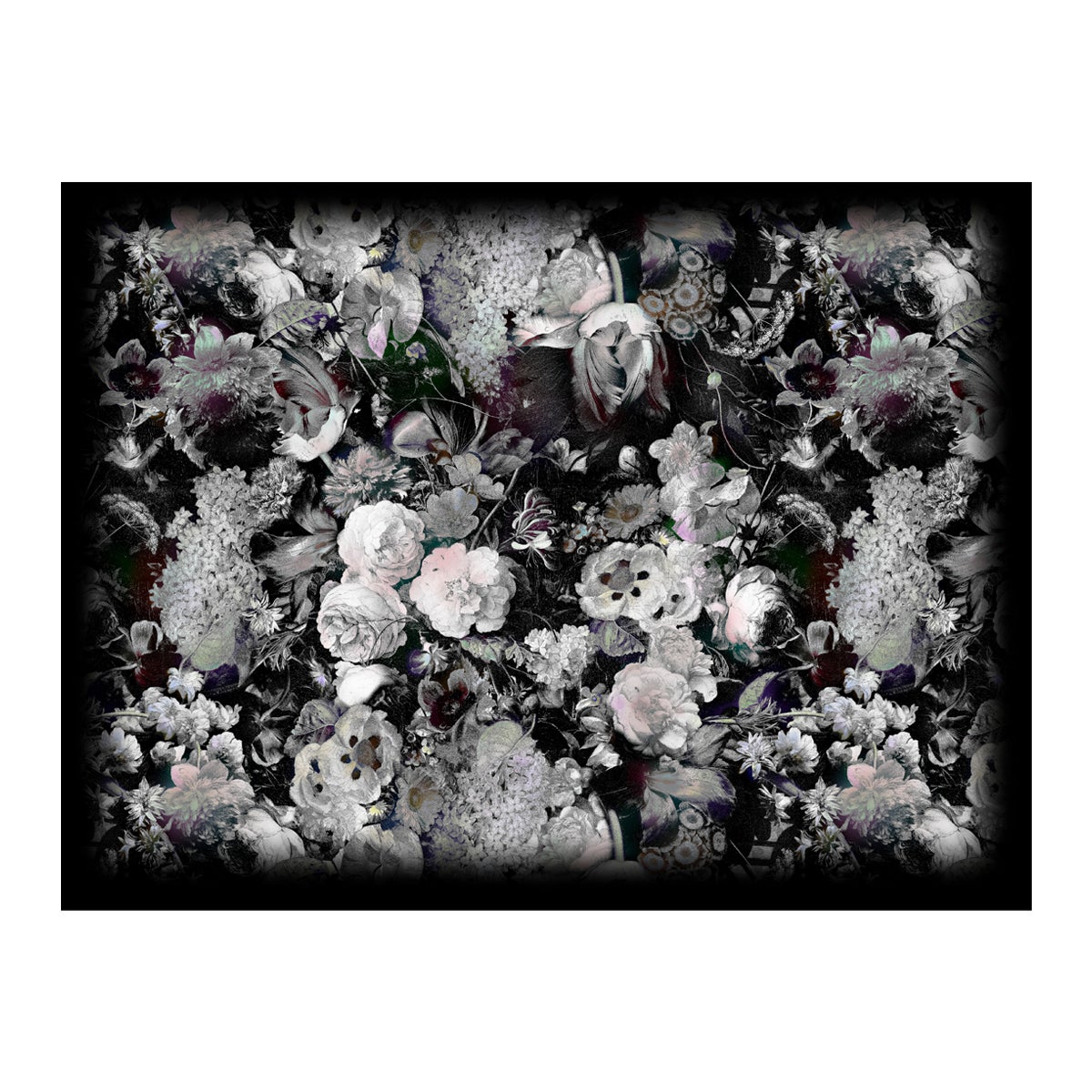 Moooi Großer rechteckiger Eden Queen B&W Rechteckiger Teppich in weichem Garn Polyamide