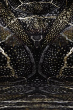 Moooi Large Extinct Animals Blooming Seadragon Rug in Wool