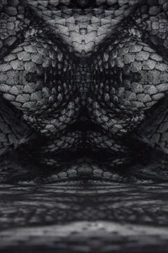 Moooi Large Extinct Animals Dwarf Rhino Rug in Low Pile Polyamide