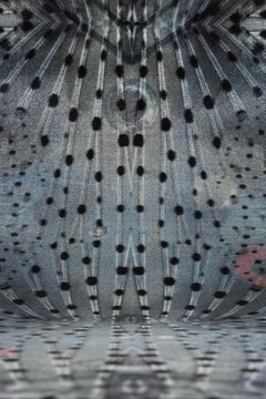 Moooi Large Extinct Animals Flying Coral Fish Rug in Soft Yarn Polyamide