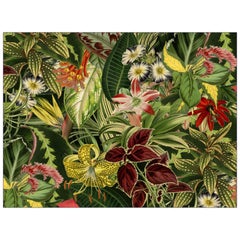 Grand tapis rectangulaire Moooi à grandes plantes disparues en polyamide souple
