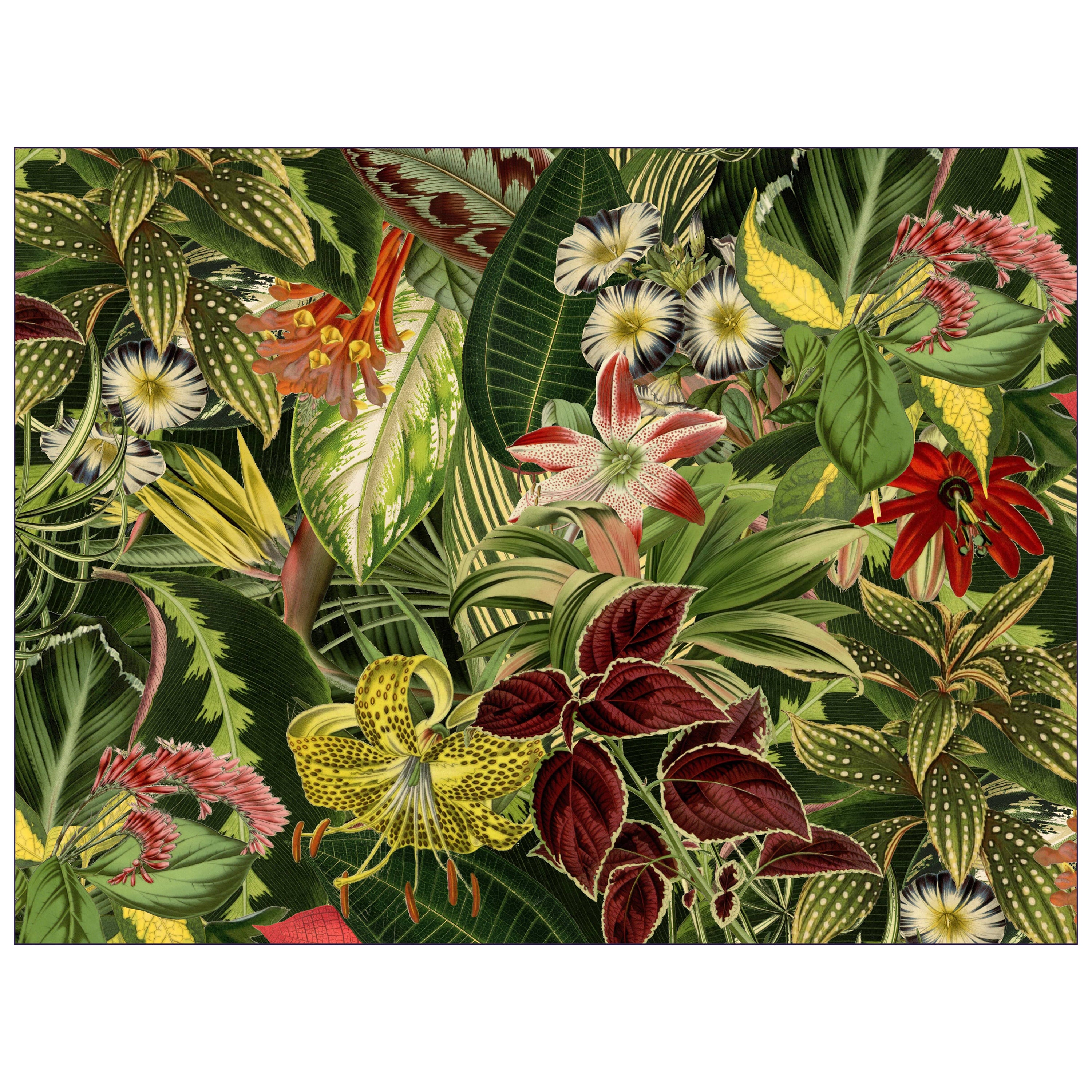 Moooi Large Extinct Plants Rectangle Rug in Wool with Blind Hem Finish