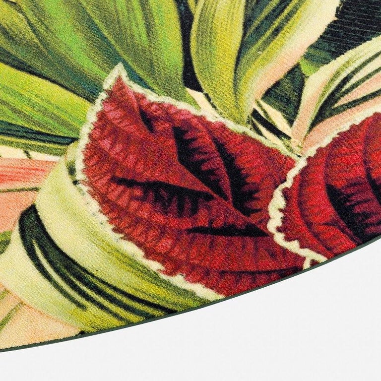 Tapis Carré Herbier de plantes éteintes - 250 x 250 cm - Moooi