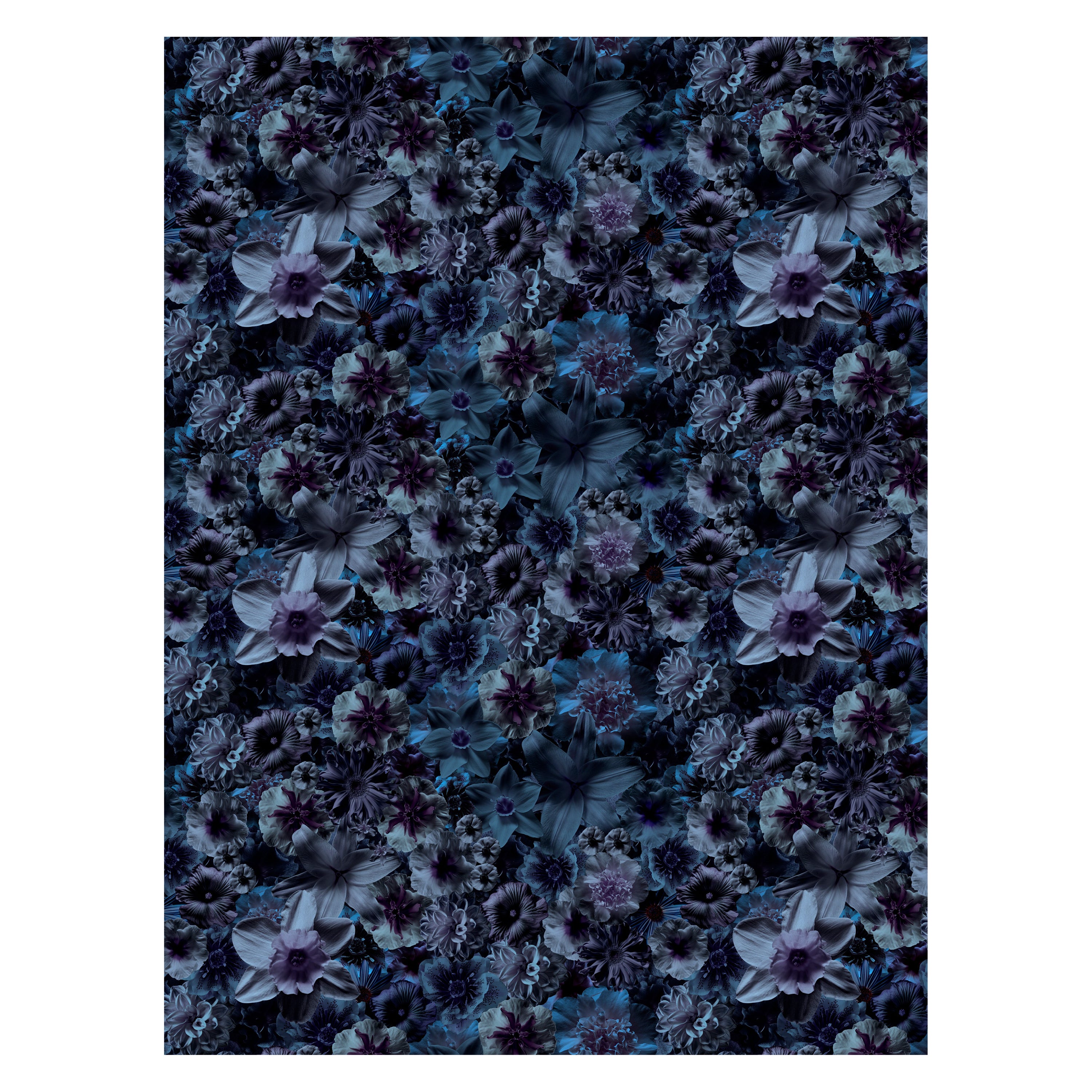 Moooi Large Flowergarden Night Rectangle Rug in Soft Yarn Polyamide
