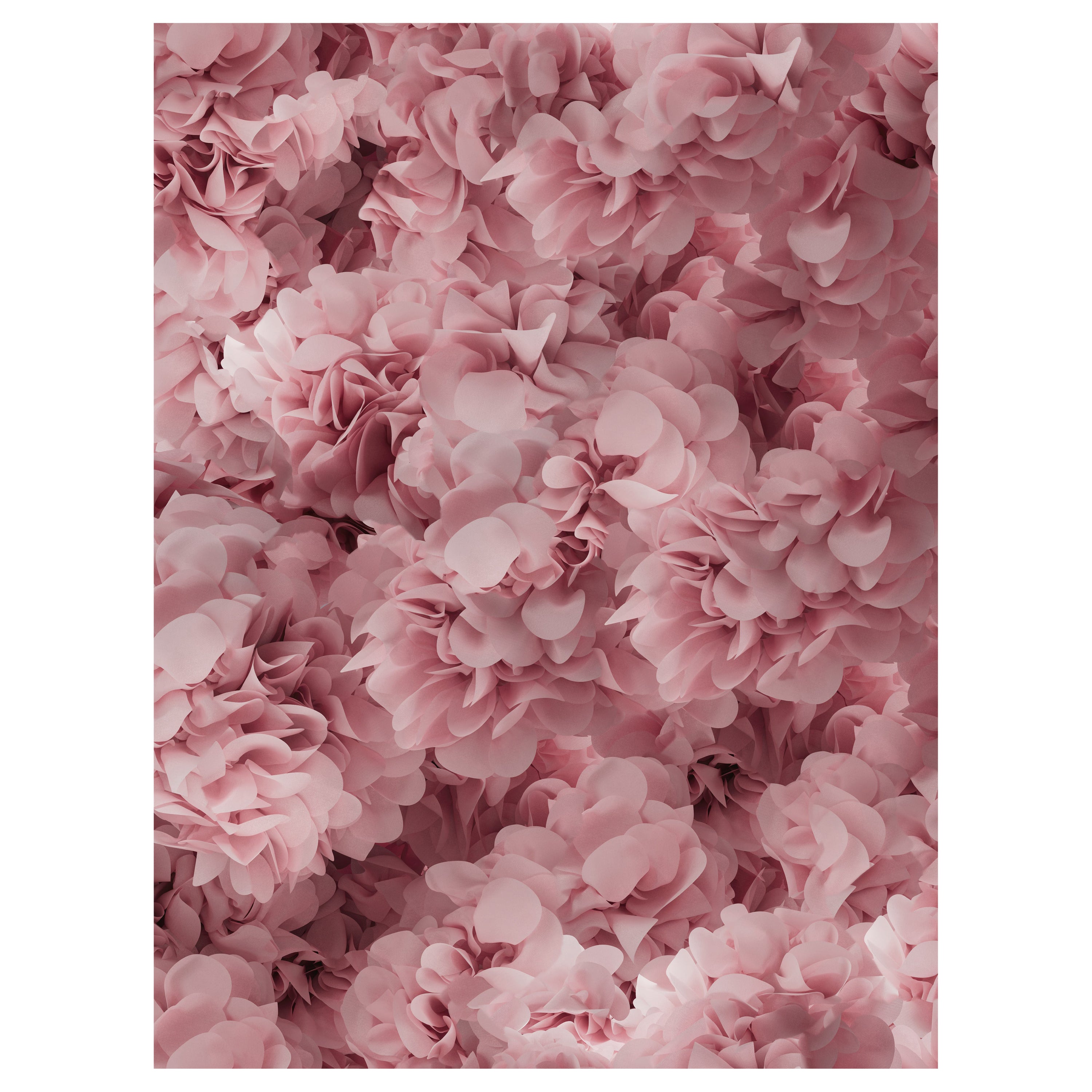 Großer rechteckiger Hortensien-Rosa-Teppich aus weichem Polyamide-Garn von Moooi