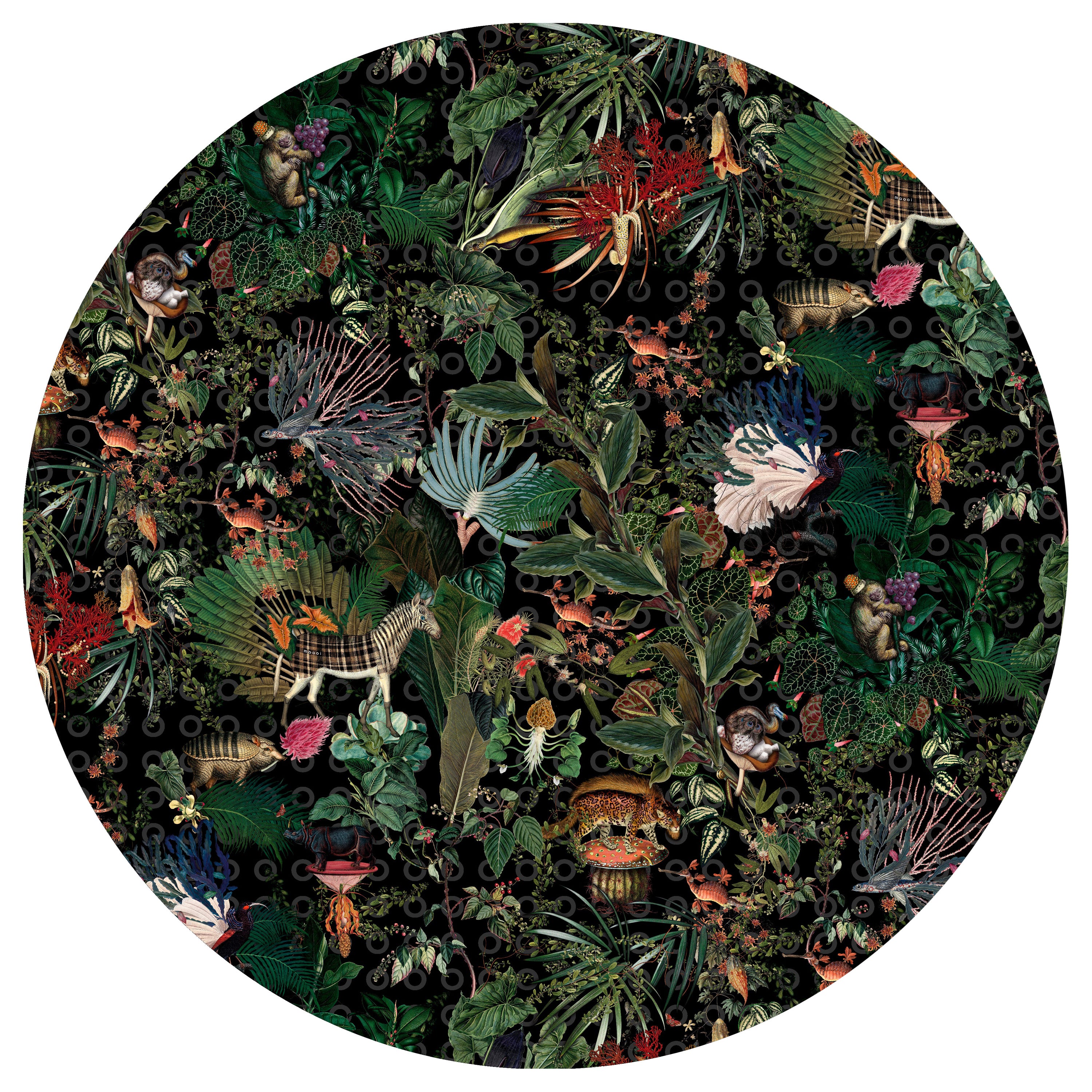 Moooi - Grand tapis rond Raven en polyamide à poils bas, représentant une grande ménagerie d'animaux disparus en vente