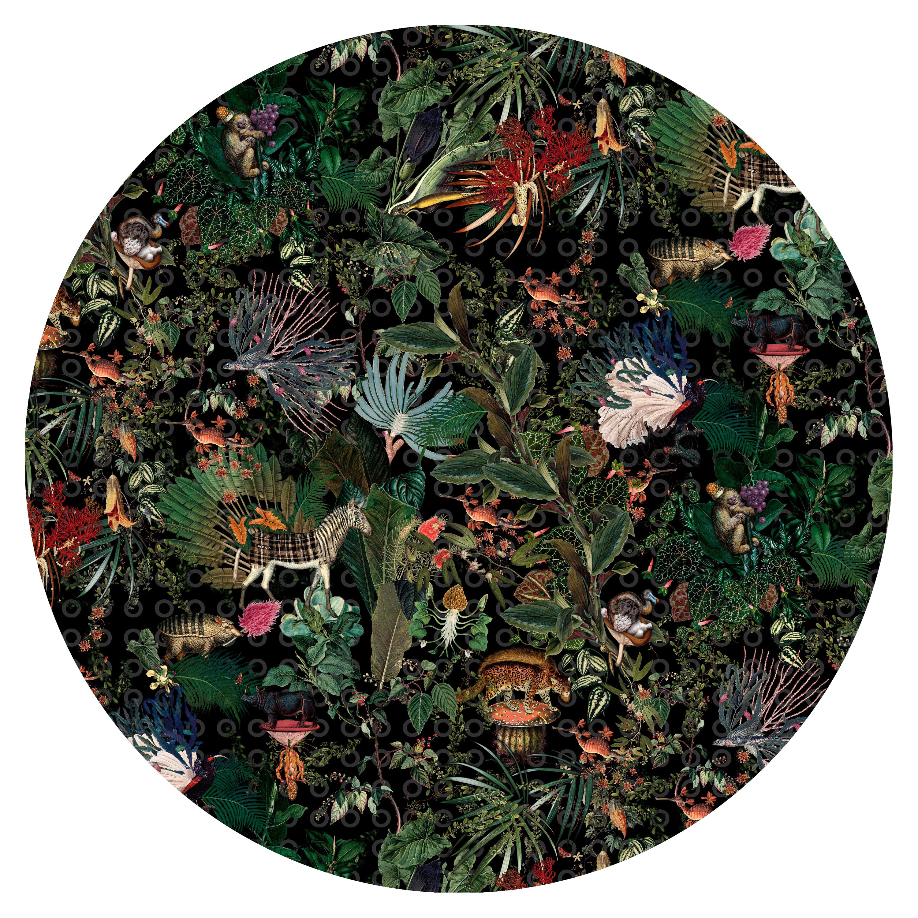 Moooi Large Menagerie of Extinct Animals Raven Round Rug in Soft Yarn Polyamide