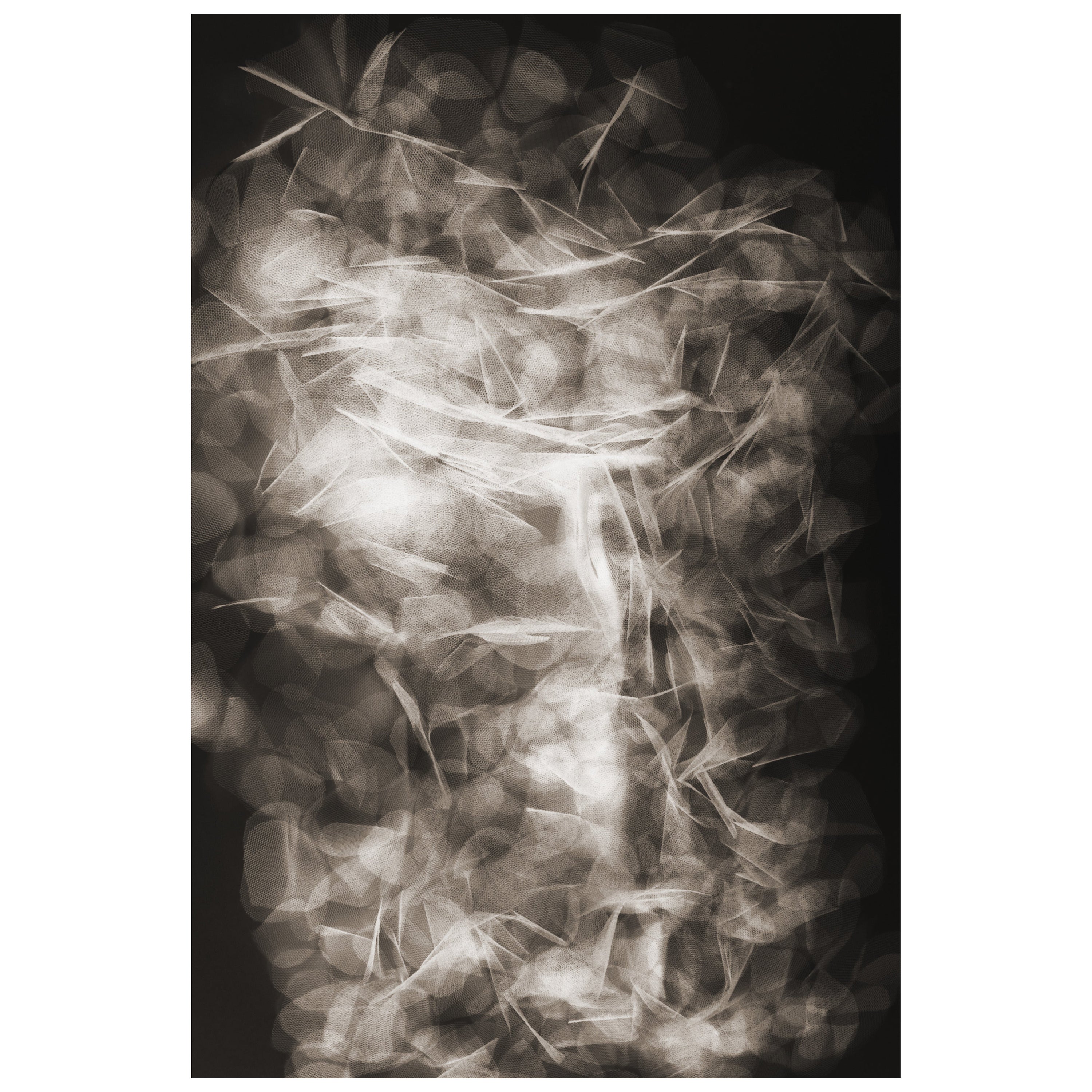 Moooi Medium Tumbling Petals Teppich aus weichem Polyamide von Ferry Schiffelers