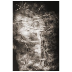Moooi Medium Tumbling Petals Rug in Wool with Blind Hem Finish