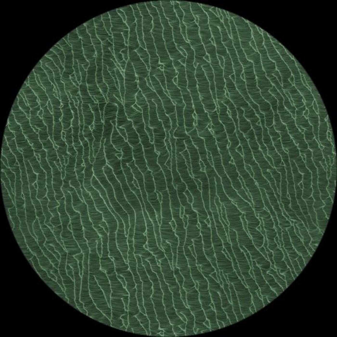 Néerlandais Moooi Organic Sequences Pure Round Medium en fil doux par A Klein en vente