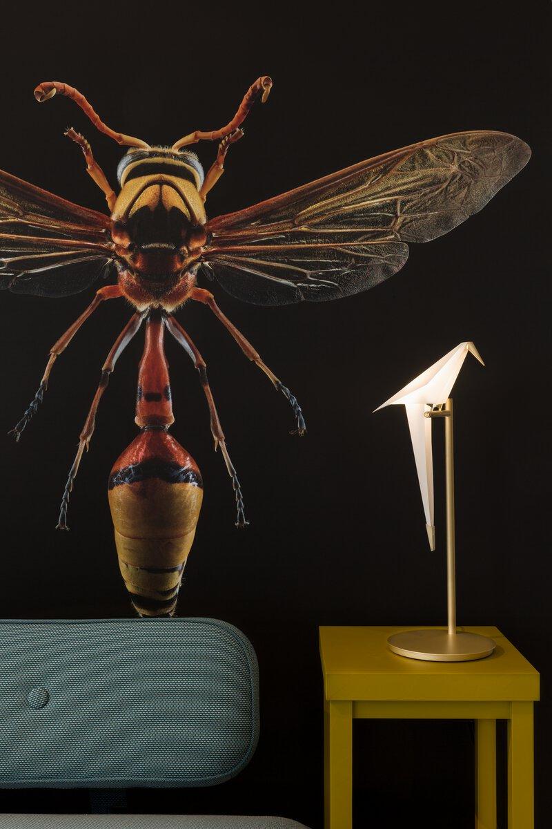Dutch Moooi Perch Table Lamp in Steel and Aluminium Frame by Umut Yamac For Sale