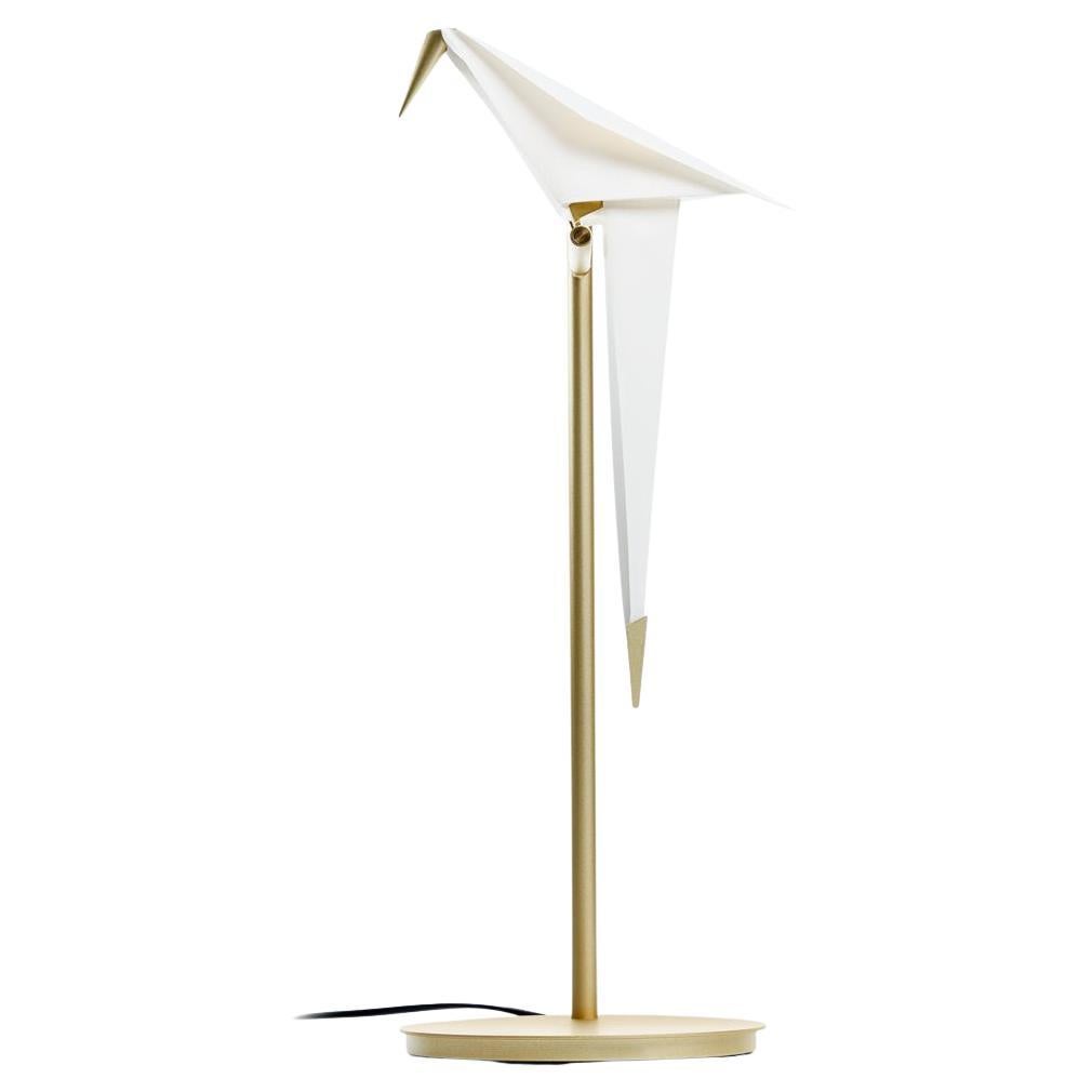 Moooi Perch Table Lamp in Steel and Aluminium Frame by Umut Yamac