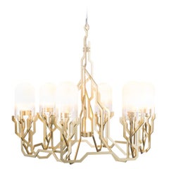 Moooi Plant Chandelier in Steel Frame with Glass Diffuser by Kranen/Gille, 10m